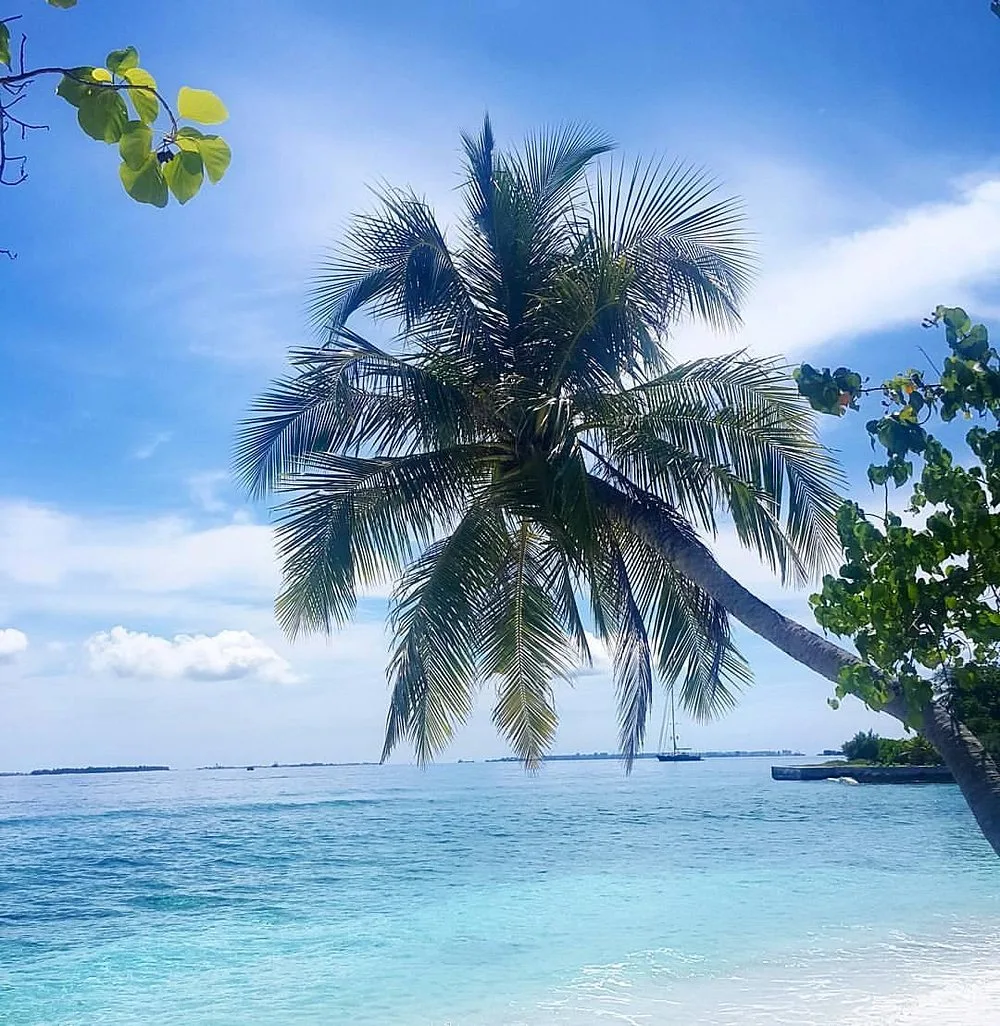 Bandos Maldives: Бассейн и пляж 9